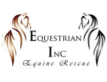 Logo_equestrian